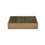 MYVILLAGE MUSCHIO VERDE 500G